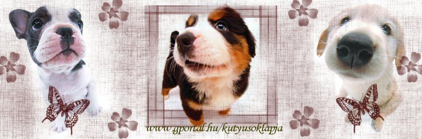 kutyusoklapja